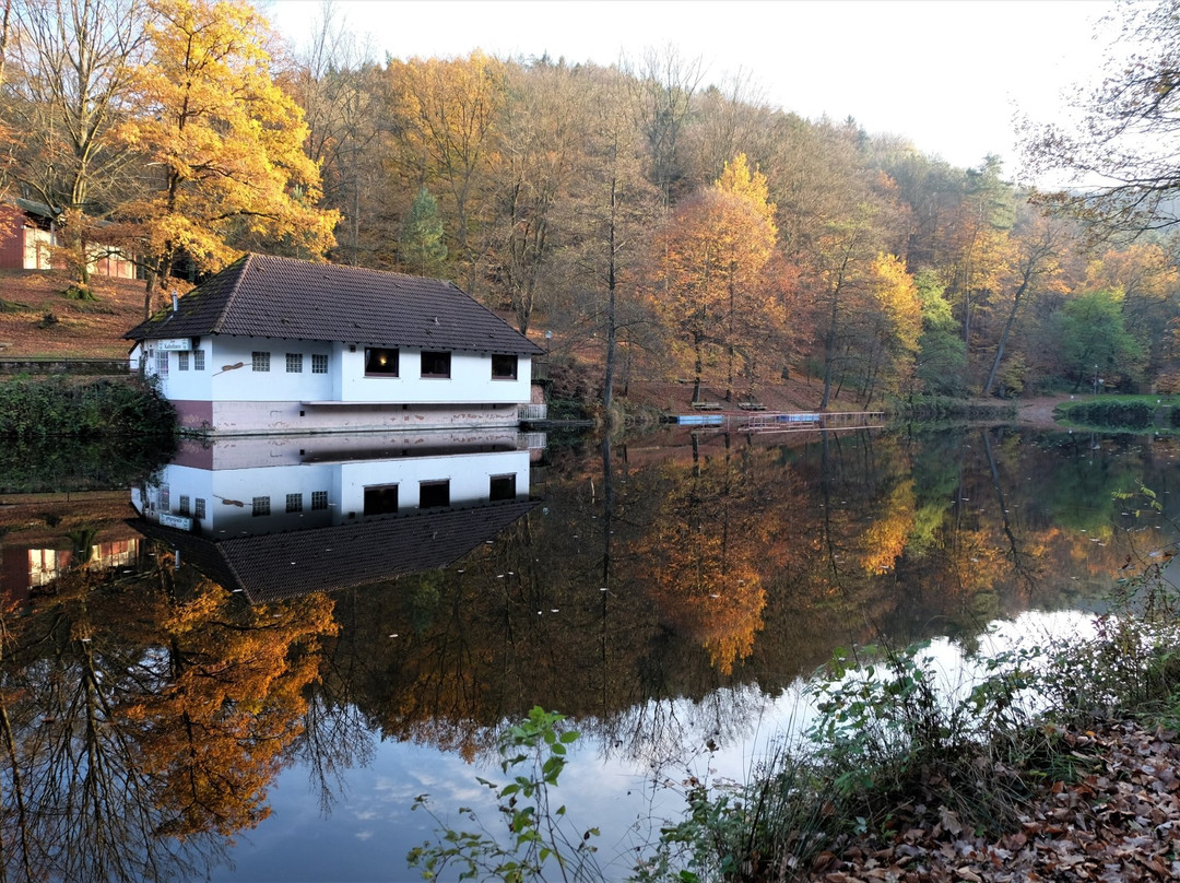 Barenlochweiher-Kindsbach必去景点