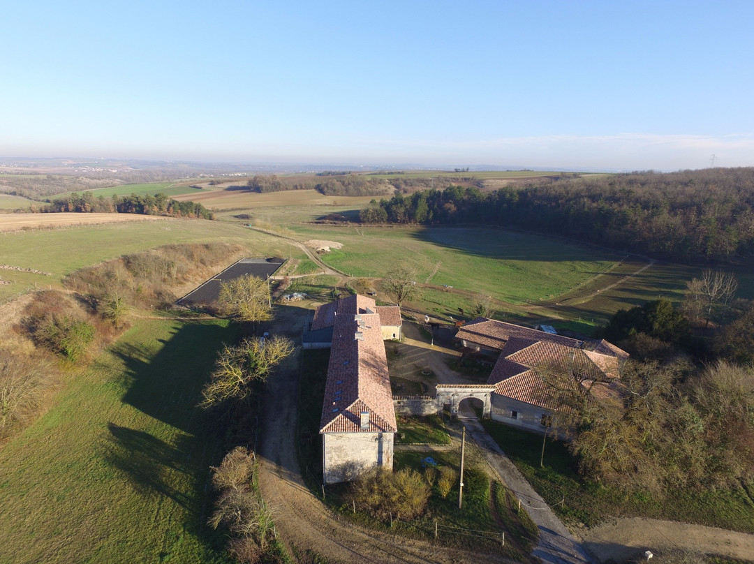 Saint-Yrieix-sur-Charente旅游攻略图片