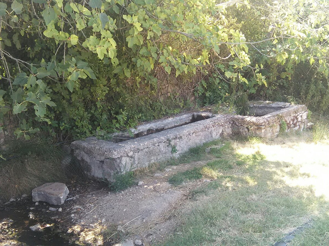 Complesso Termale Etrusco-Romano di Sasso Pisano景点图片