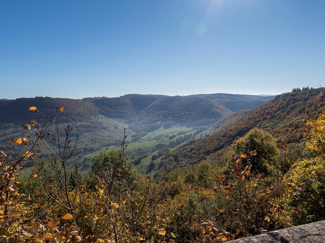 内卡河畔埃斯林根旅游攻略图片