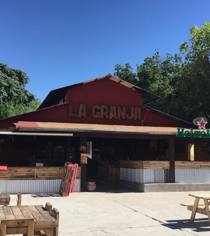 Plaza La Granja, Food Trucks Co.