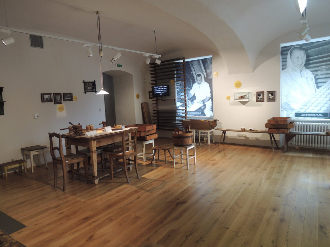 Muzeum Olomouckych Tvaruzku-Lostice必去景点