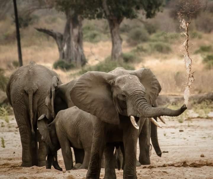 Peacemakers Expedition & Safari-阿鲁沙必去景点