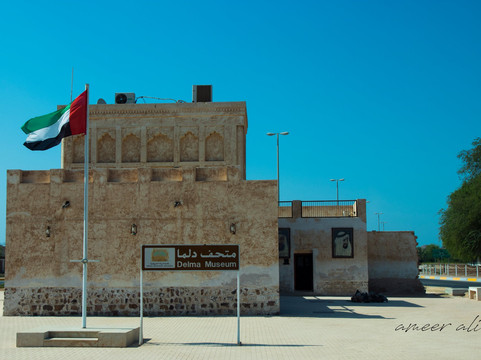 Dalma Museum