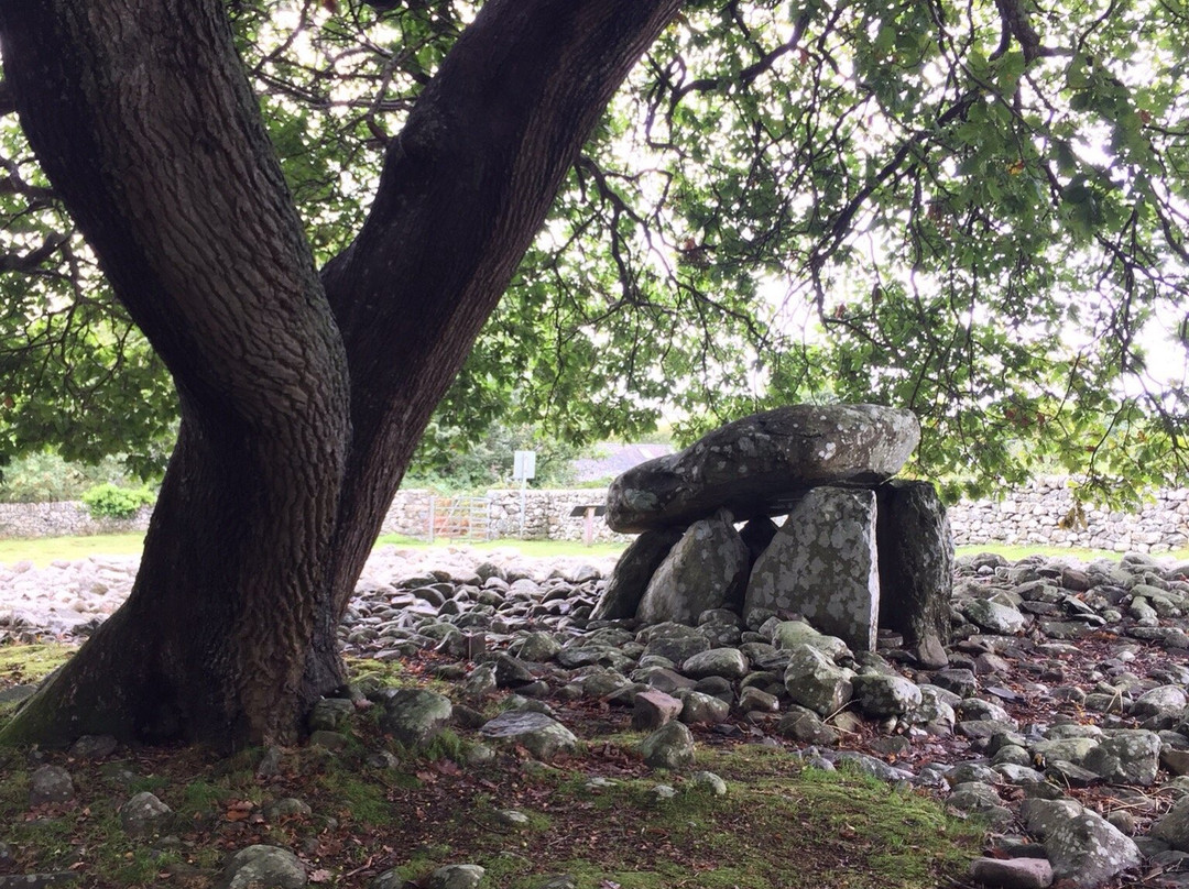 Dyffryn Ardudwy Chambered Tomb景点图片