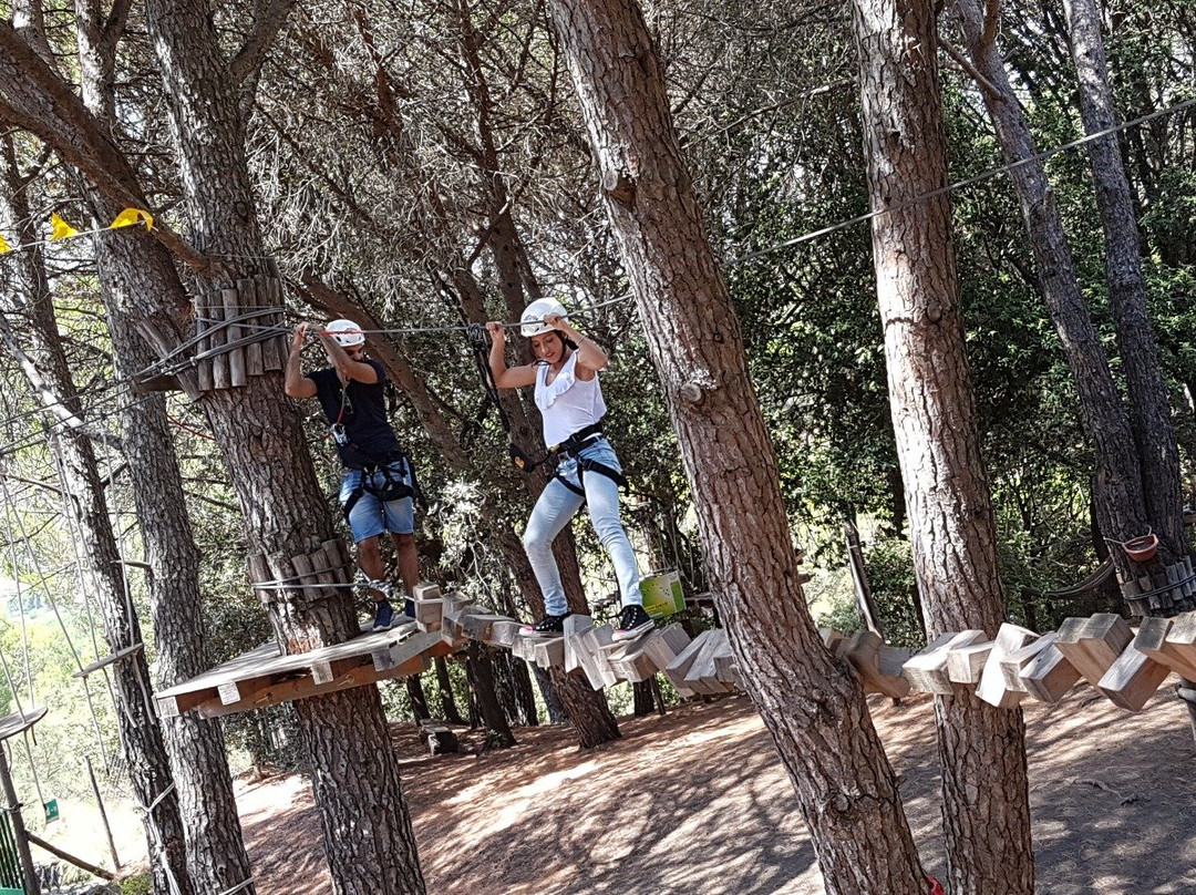 Monti Rossi Adventure Park-尼科洛西必去景点