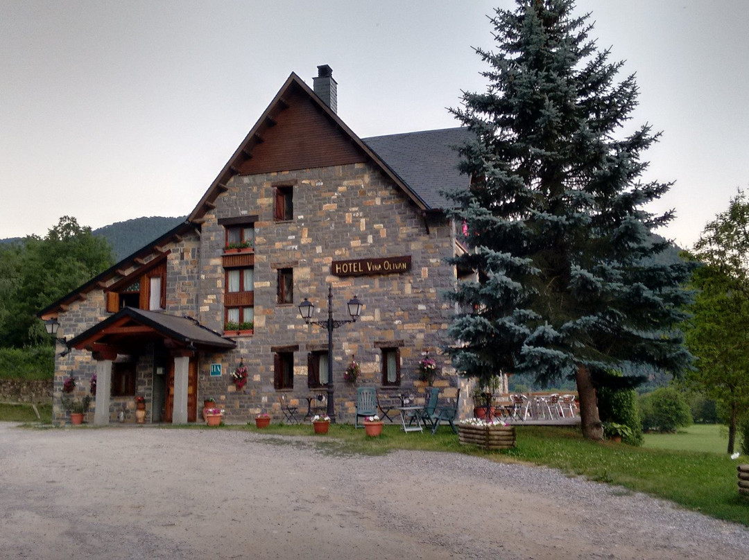 Hotel Vina Olivan主图