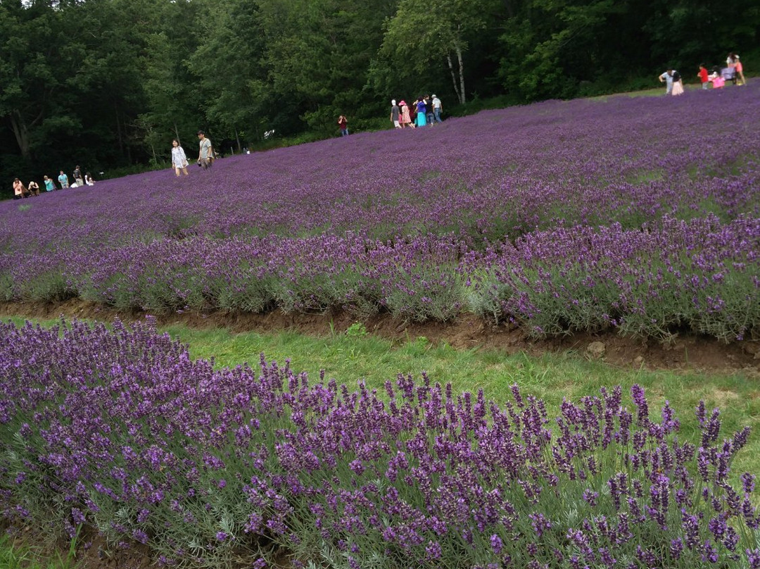 Laveanne-Campbellcroft必去景点