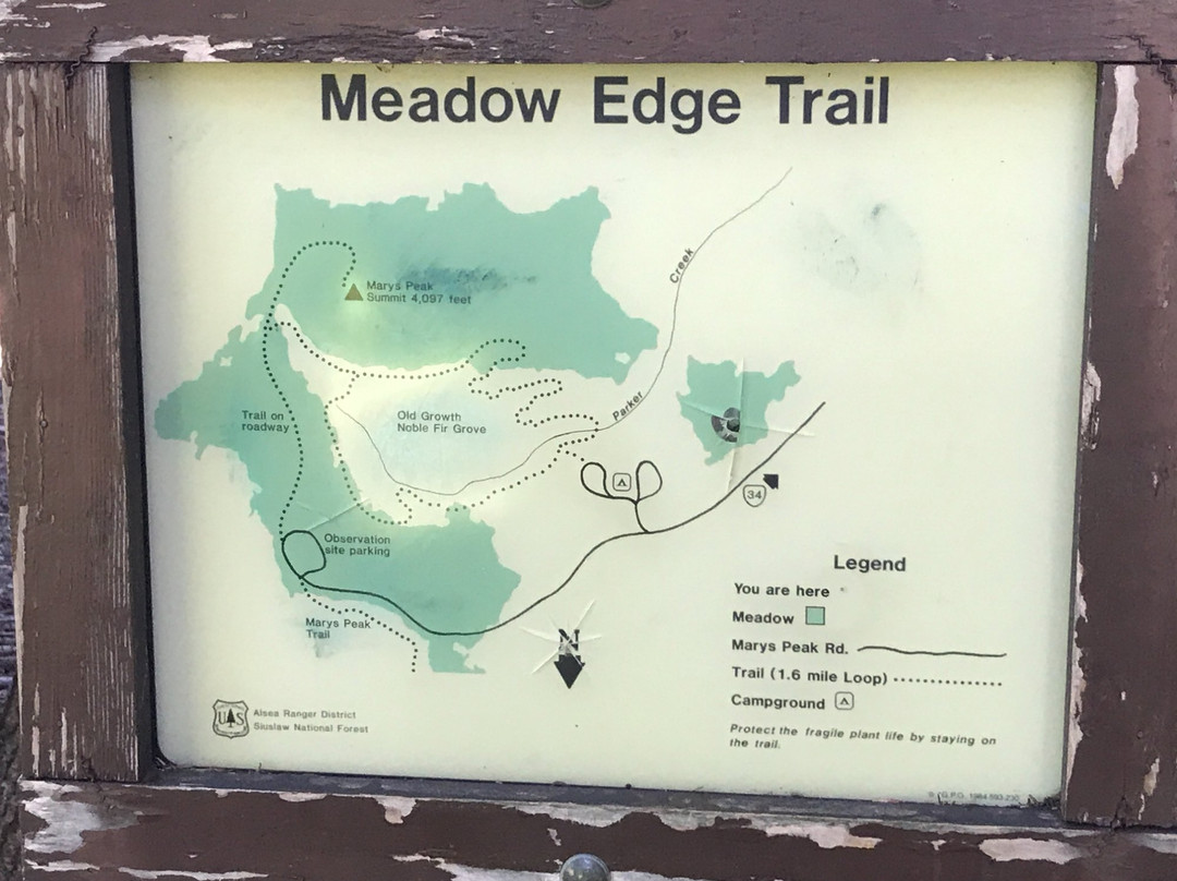 Mary's Peak Trail-Philomath必去景点