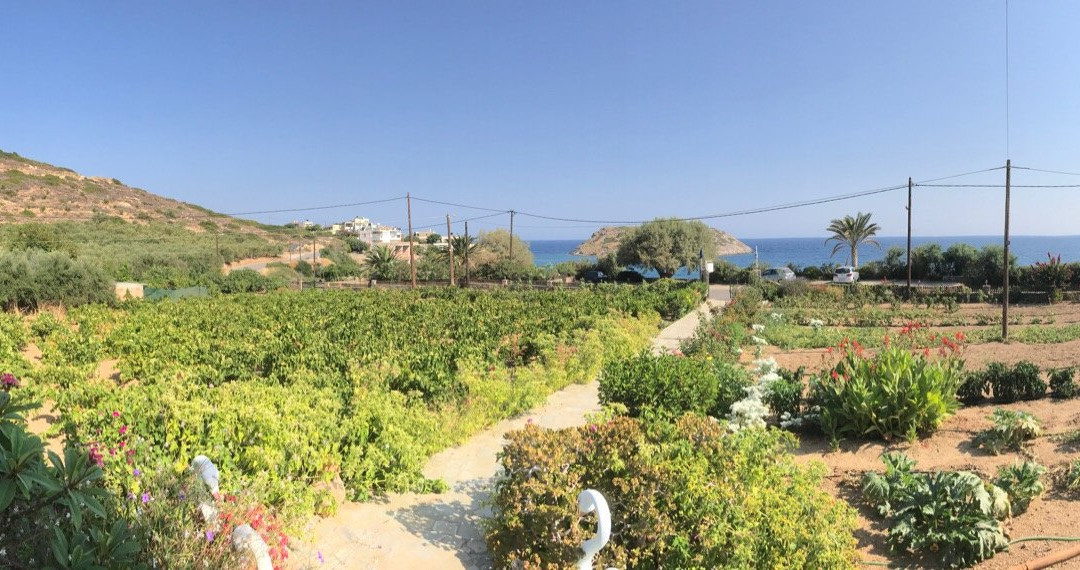 Mochlos Mare Apartments主图