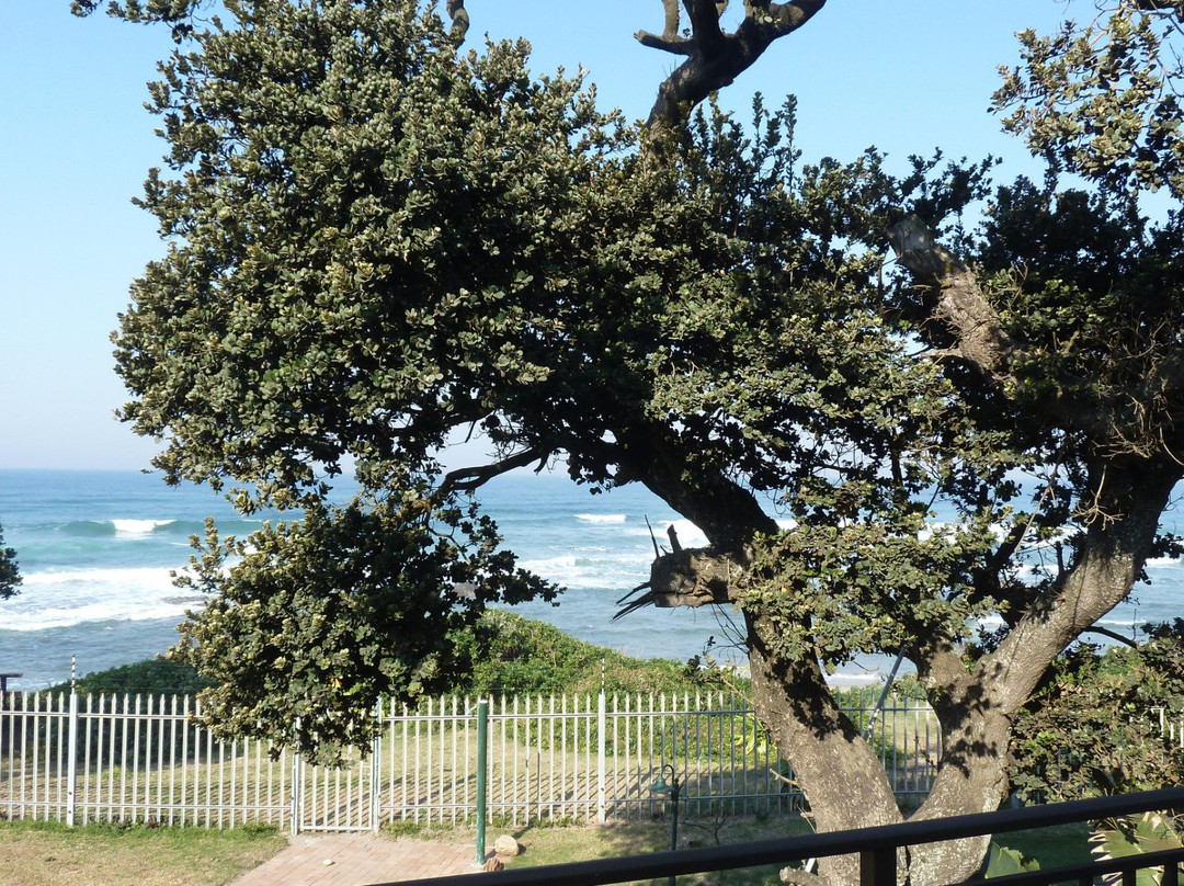 My Den Beachfront B&B主图