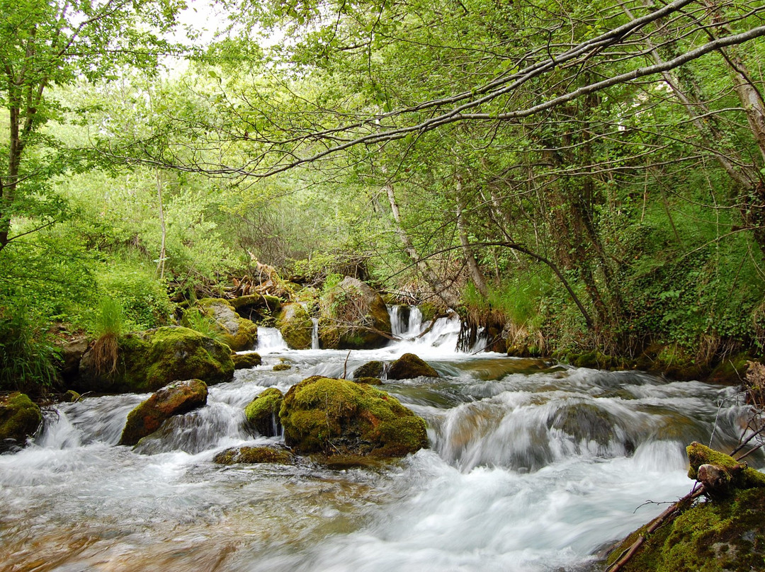 Globus Travel-奥赫里德必去景点