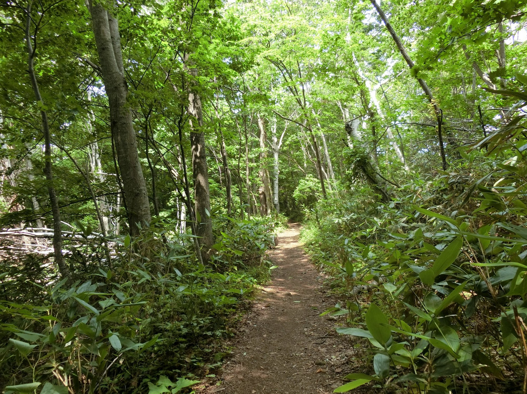 Lake Hangetsu Nature Park-俱知安町必去景点