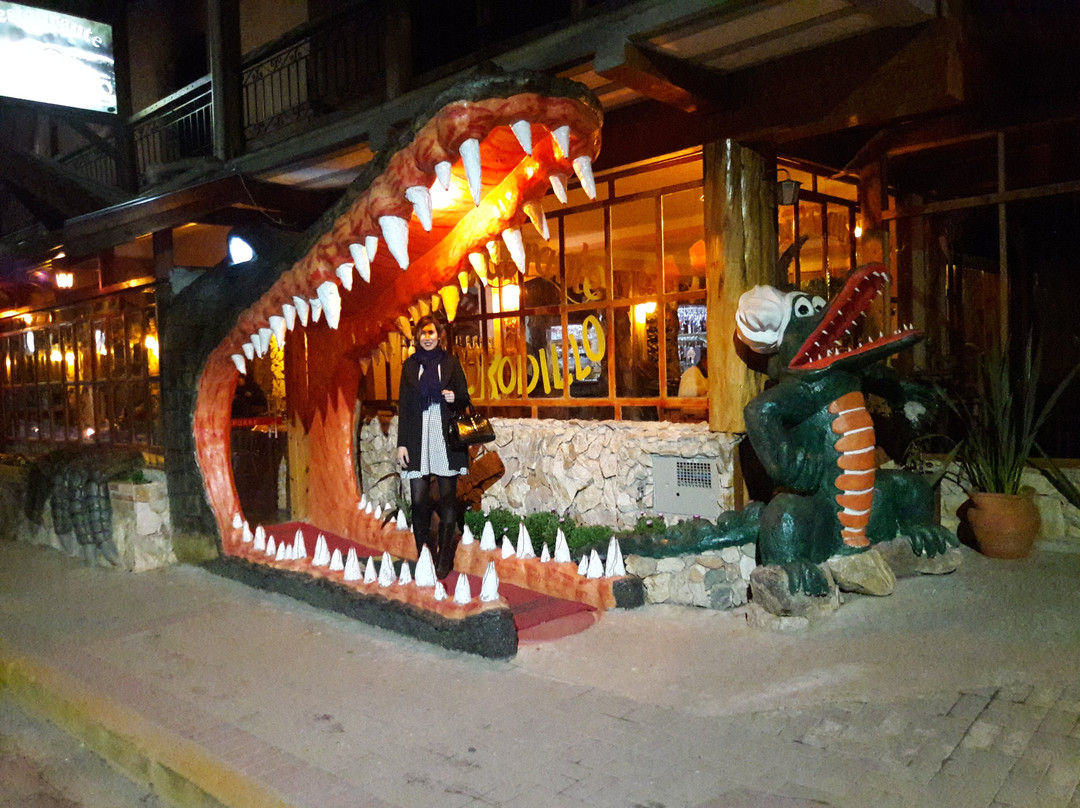 Restaurante Krokodillo IV