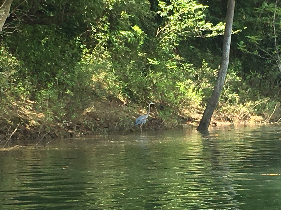 Riverview Outfitters-尤里卡斯普林斯必去景点