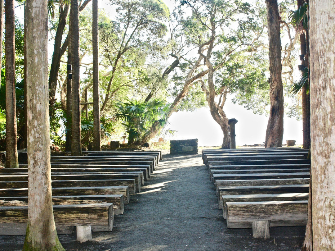 The Green Cathedral-Elizabeth Beach必去景点