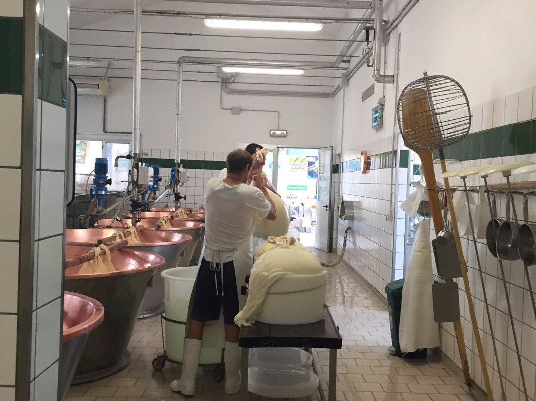 Pizzale旅游攻略图片