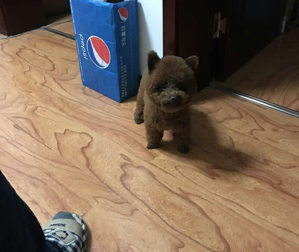 寿光蔬菜示范园-寿光市必去景点