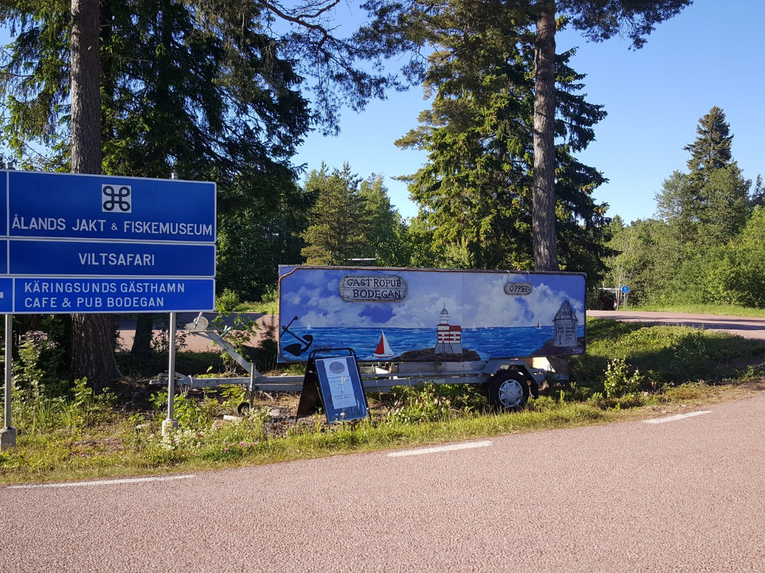 Käringsunds Viltsafari
