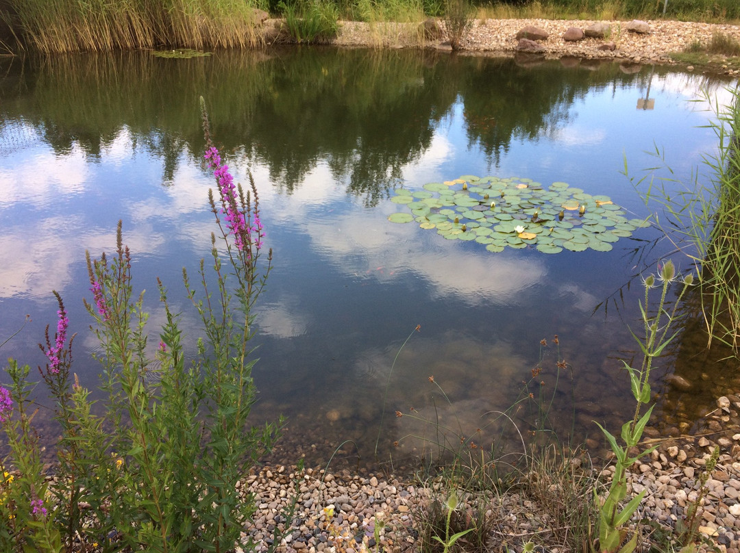 Regionalpark RheinMain景点图片