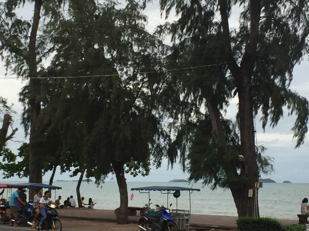 Suan Son (Phe Arboretum)-罗勇必去景点