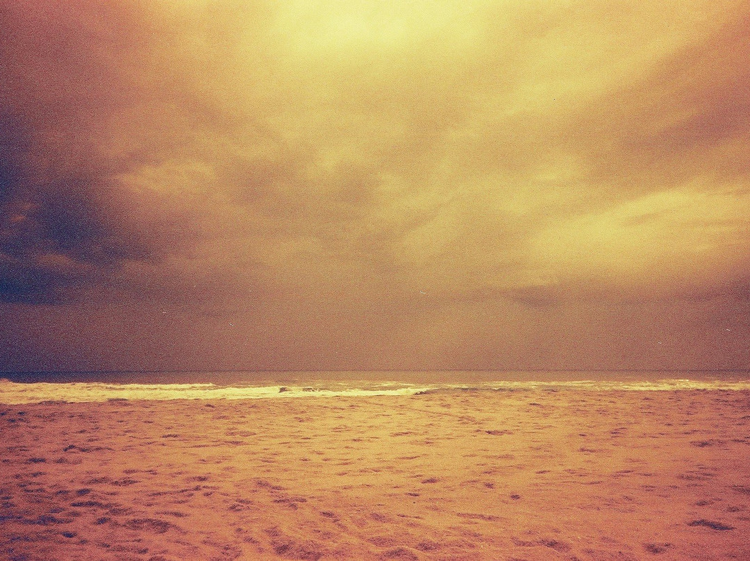 Osso da Baleia Beach景点图片