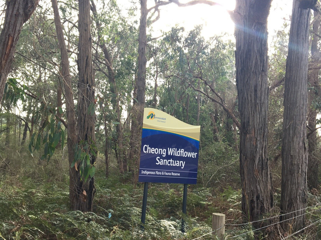 Cheong wildflower Sanctuary-Croydon必去景点