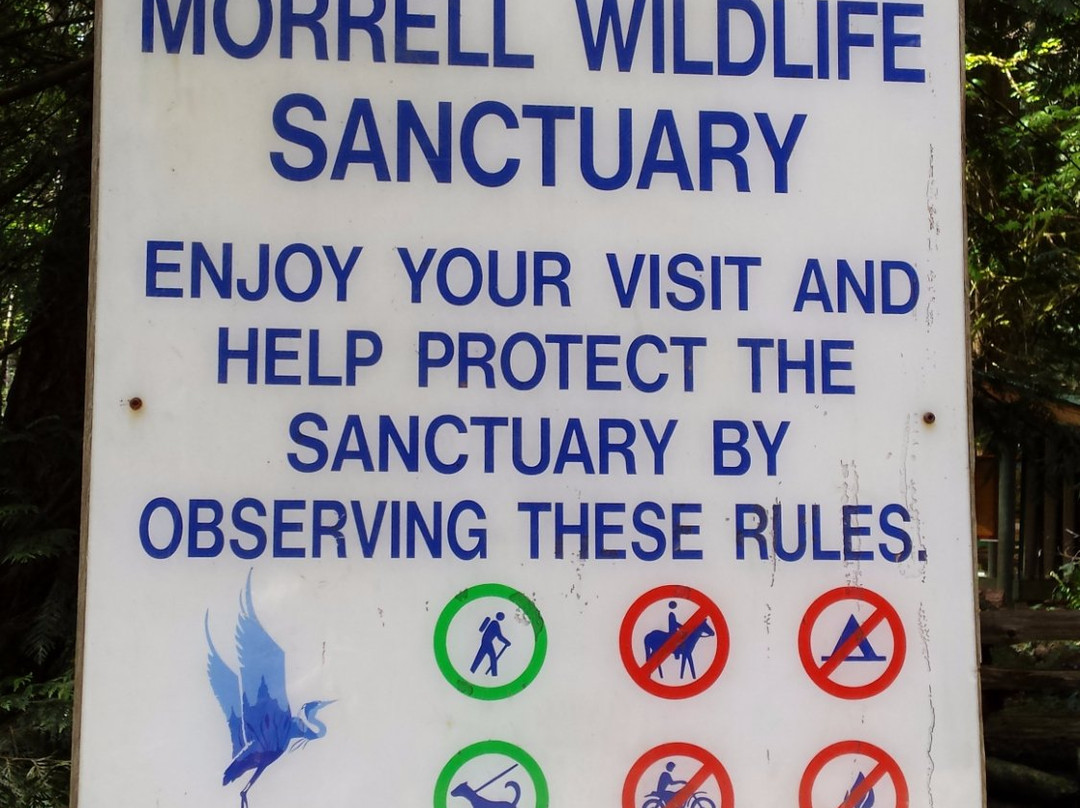 Morrell Sanctuary景点图片