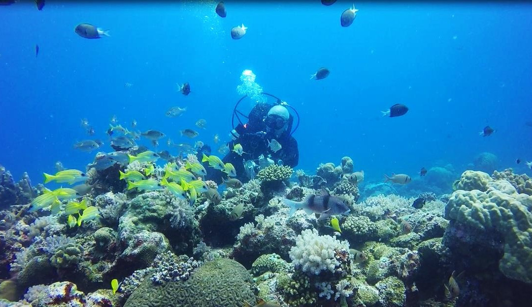 Ocean Spirit Dive Center景点图片