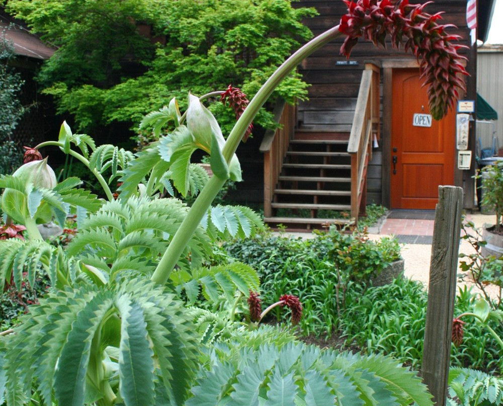 Prager Winery & Port Works主图