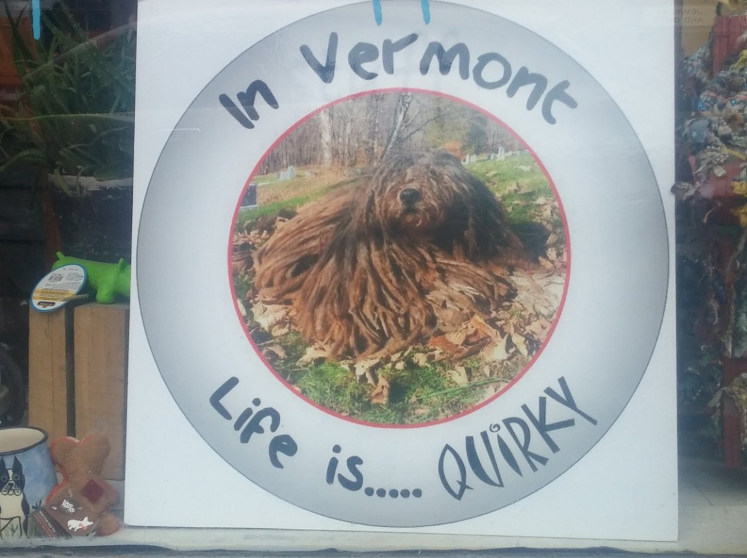 The Quirky Pet-蒙彼利埃必去景点