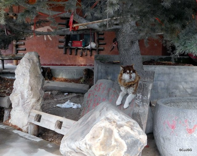 羌乡古寨-茂县必去景点