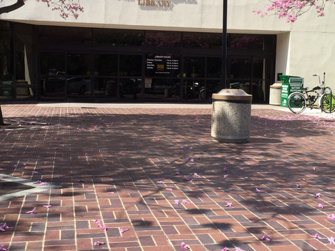Thousand Oaks Grant R. Brimhall Library-千橡市必去景点