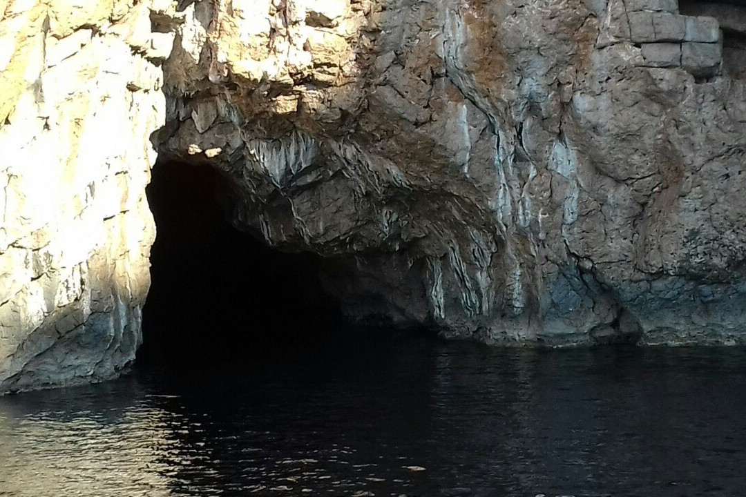 Delfin Boats景点图片