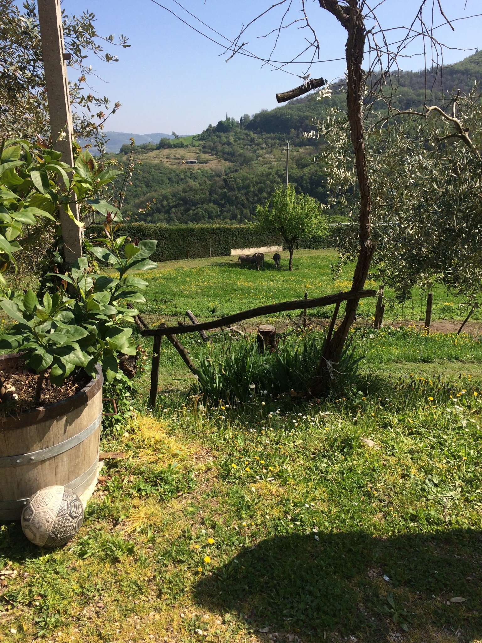 Ai Sette Noci-官方