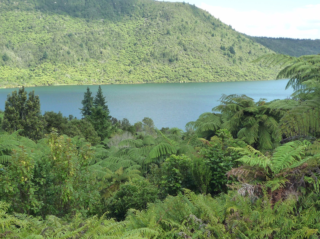 Lake Rotokakahi景点图片