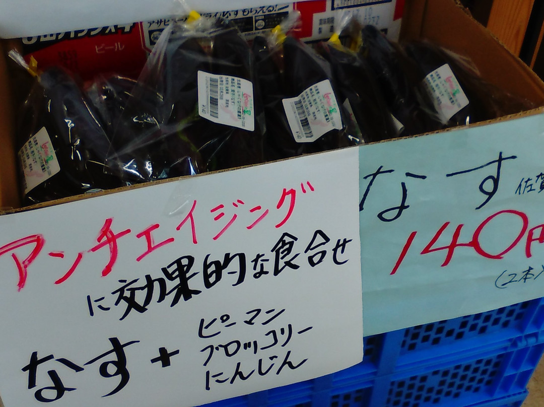 Dam Station Fuji Shakunage no Sato-佐贺市必去景点