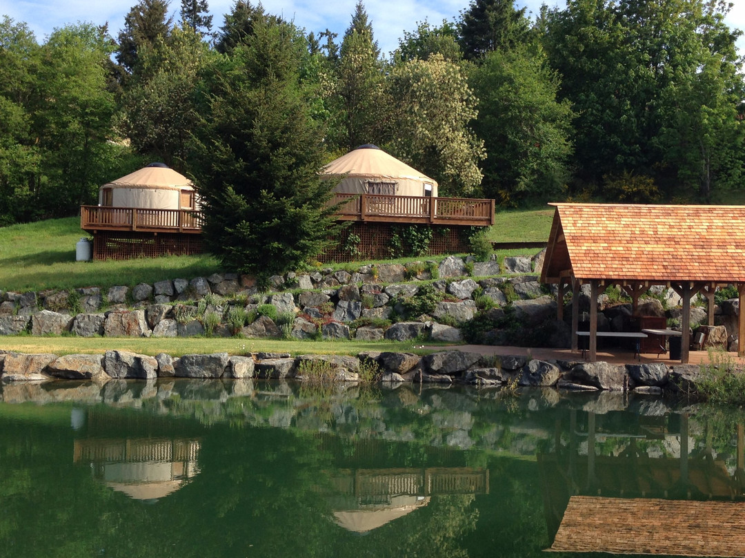 The Yurts at Merridale Cidery & Distillery