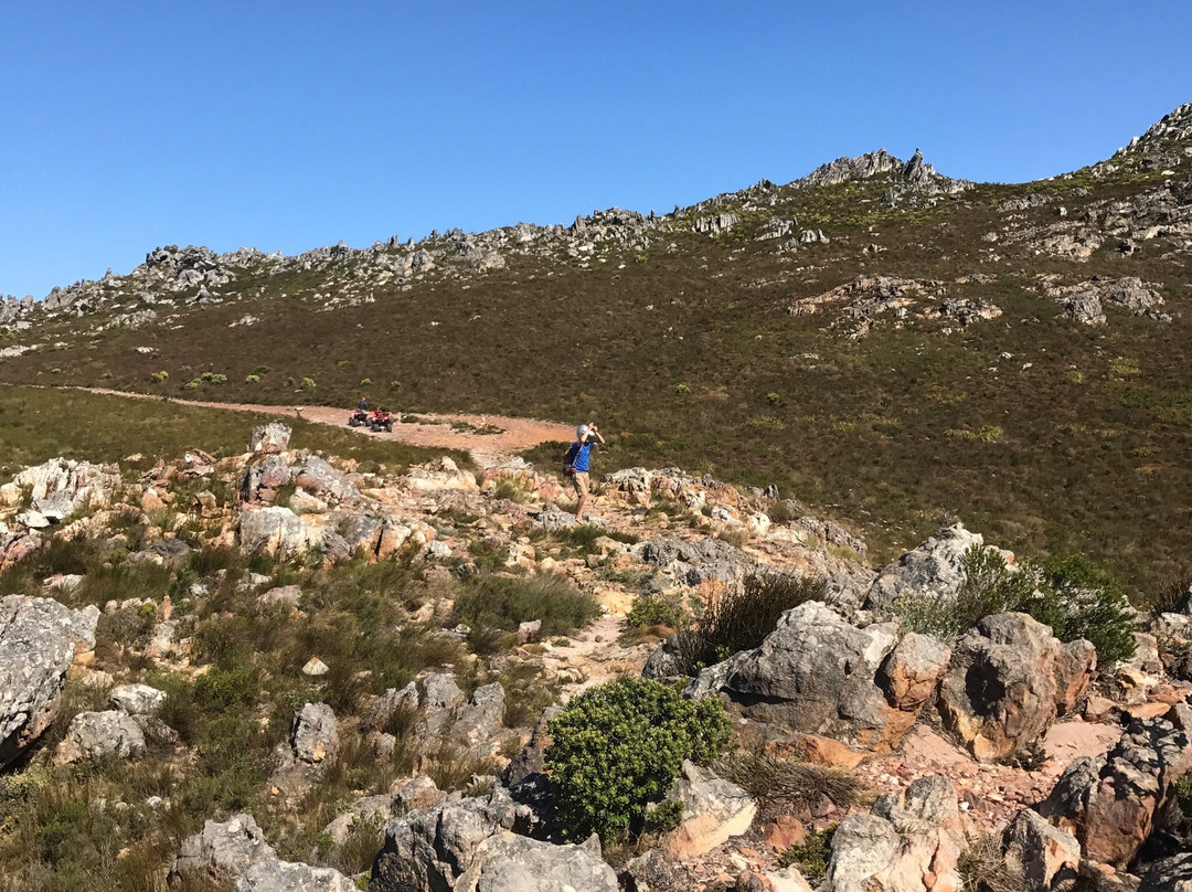 Nature Discovery Tours-Grabouw必去景点
