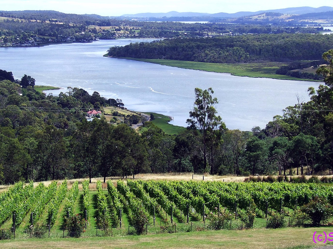 朗塞斯顿旅游景点-塔马谷