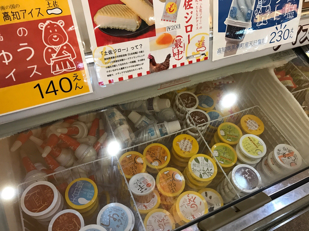 Tosa Pokapoka Onsen-高知市必去景点