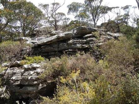 Mt Thackeray-Dunkeld必去景点