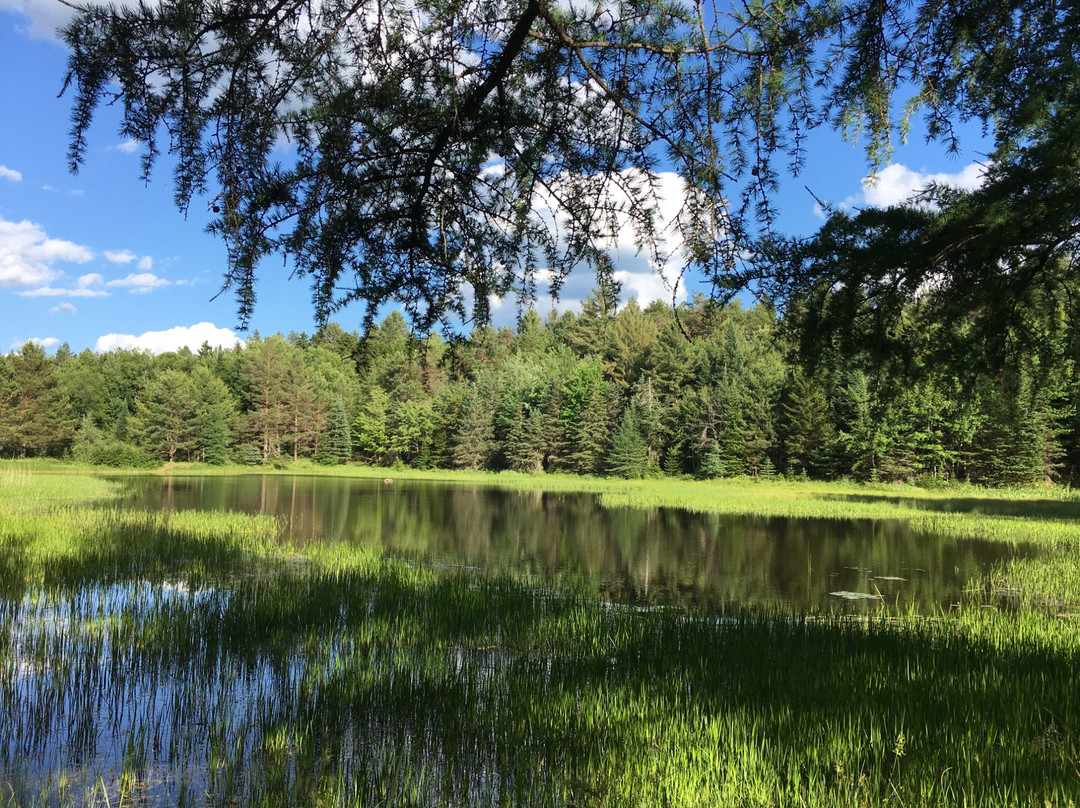 Higley Flow State Park景点图片