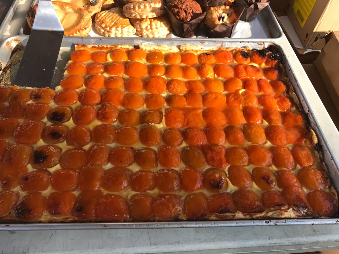 Royal Palm Place-博卡拉顿必去景点