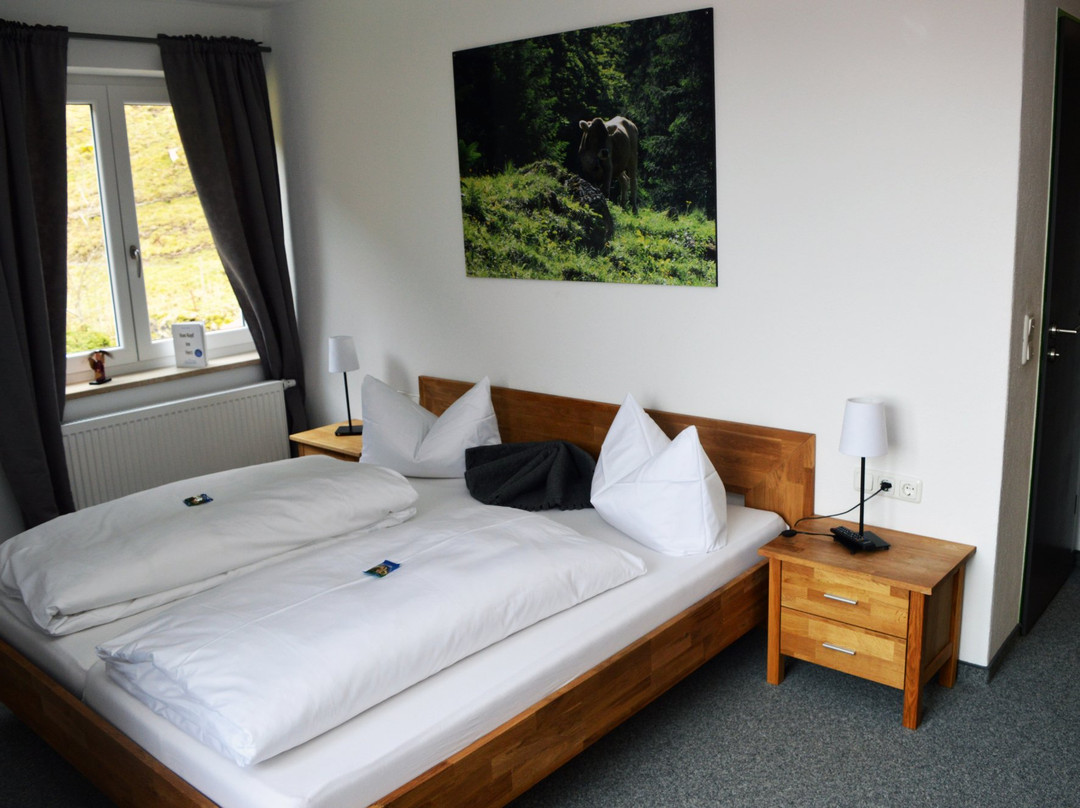Bergsteiger-Hotel "Gruner Hut"主图