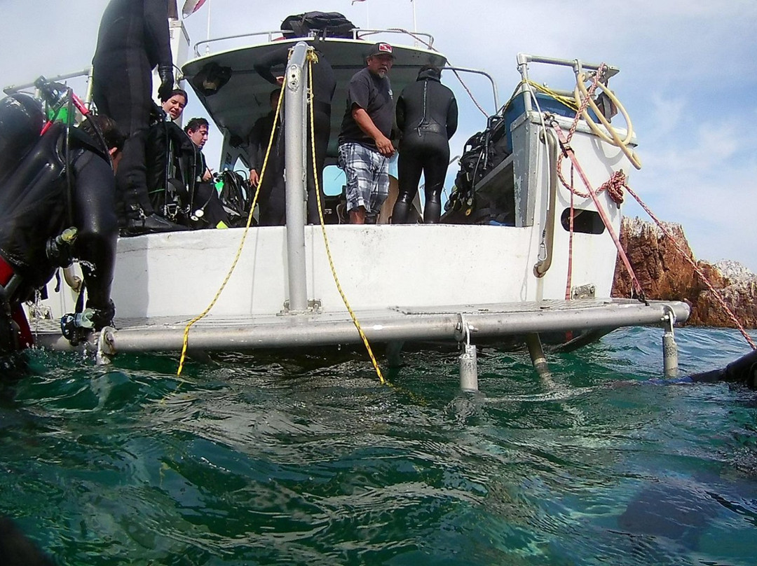 Baja Diving Adventures景点图片