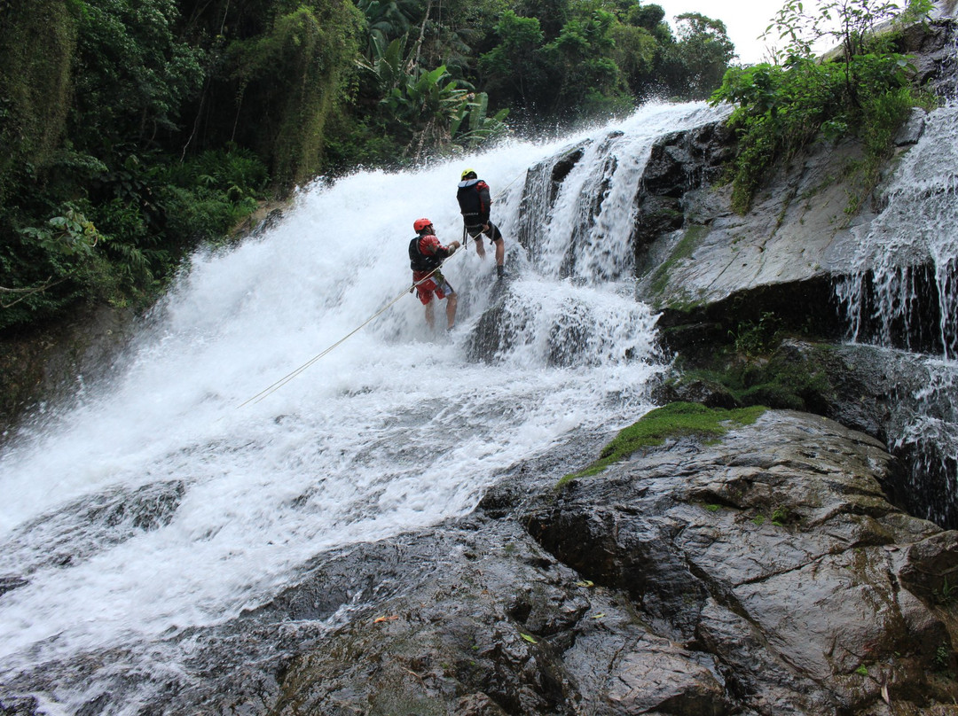 Tartarugas-Santo Amaro da Imperatriz必去景点