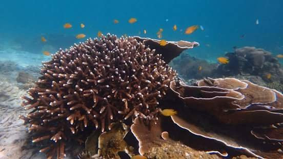 Lampi Marine National Park-丹老群岛必去景点