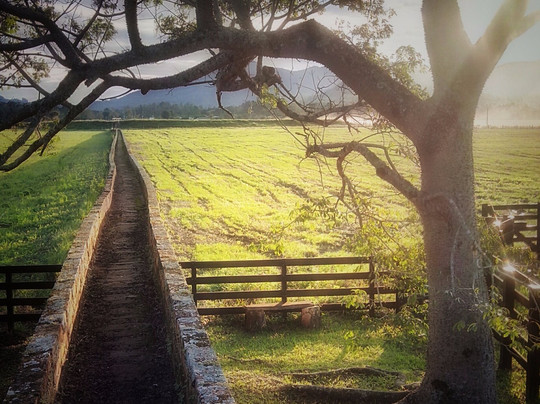Candelaria旅游攻略图片