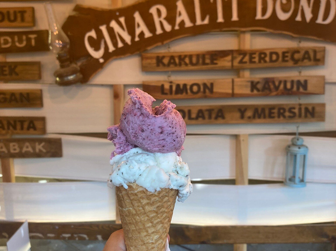 Cınaraltı Cafe